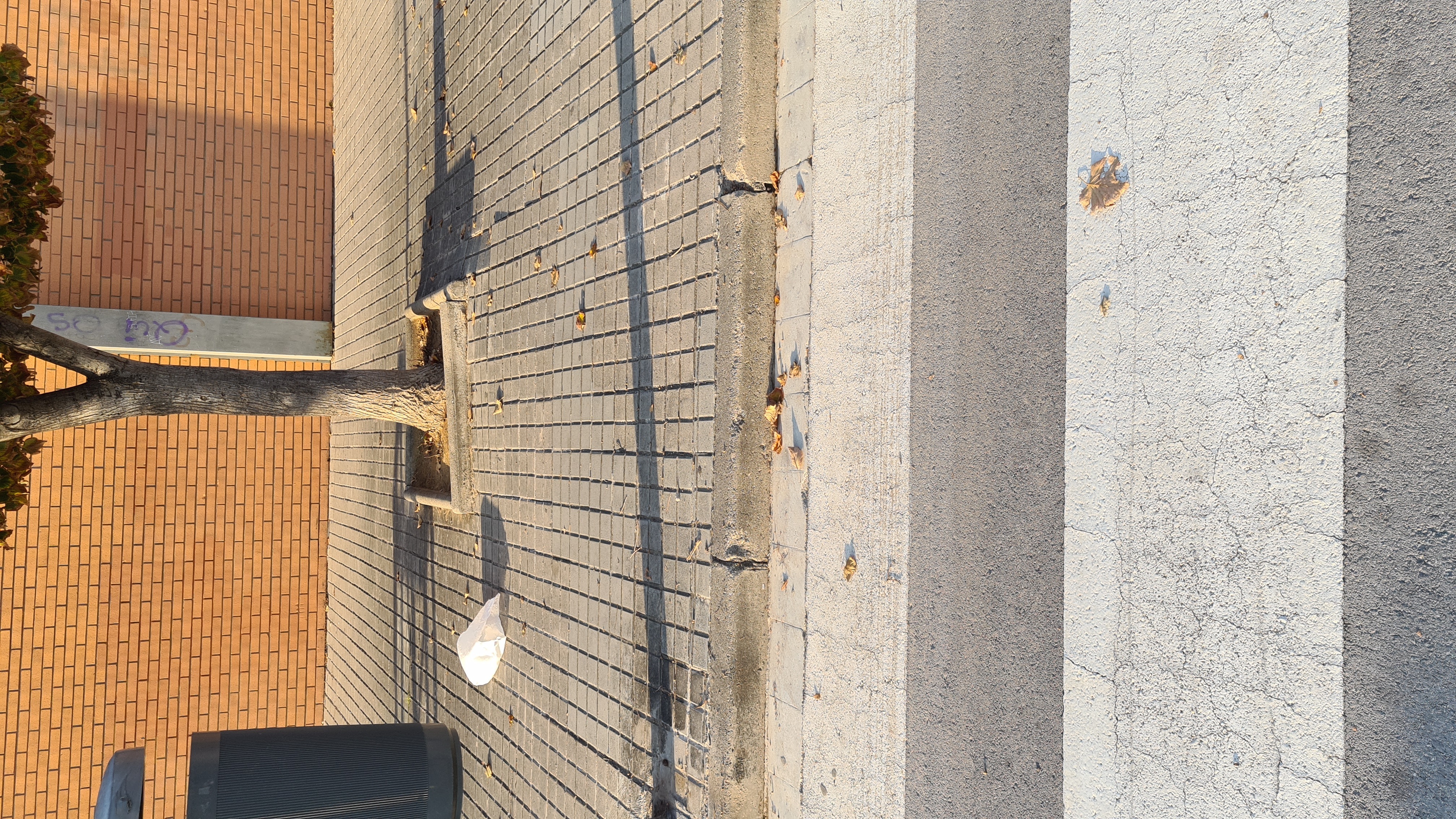 Imatge pels mitjans: Fer passos de vianants adaptats, arrenjar i ampliar voreres