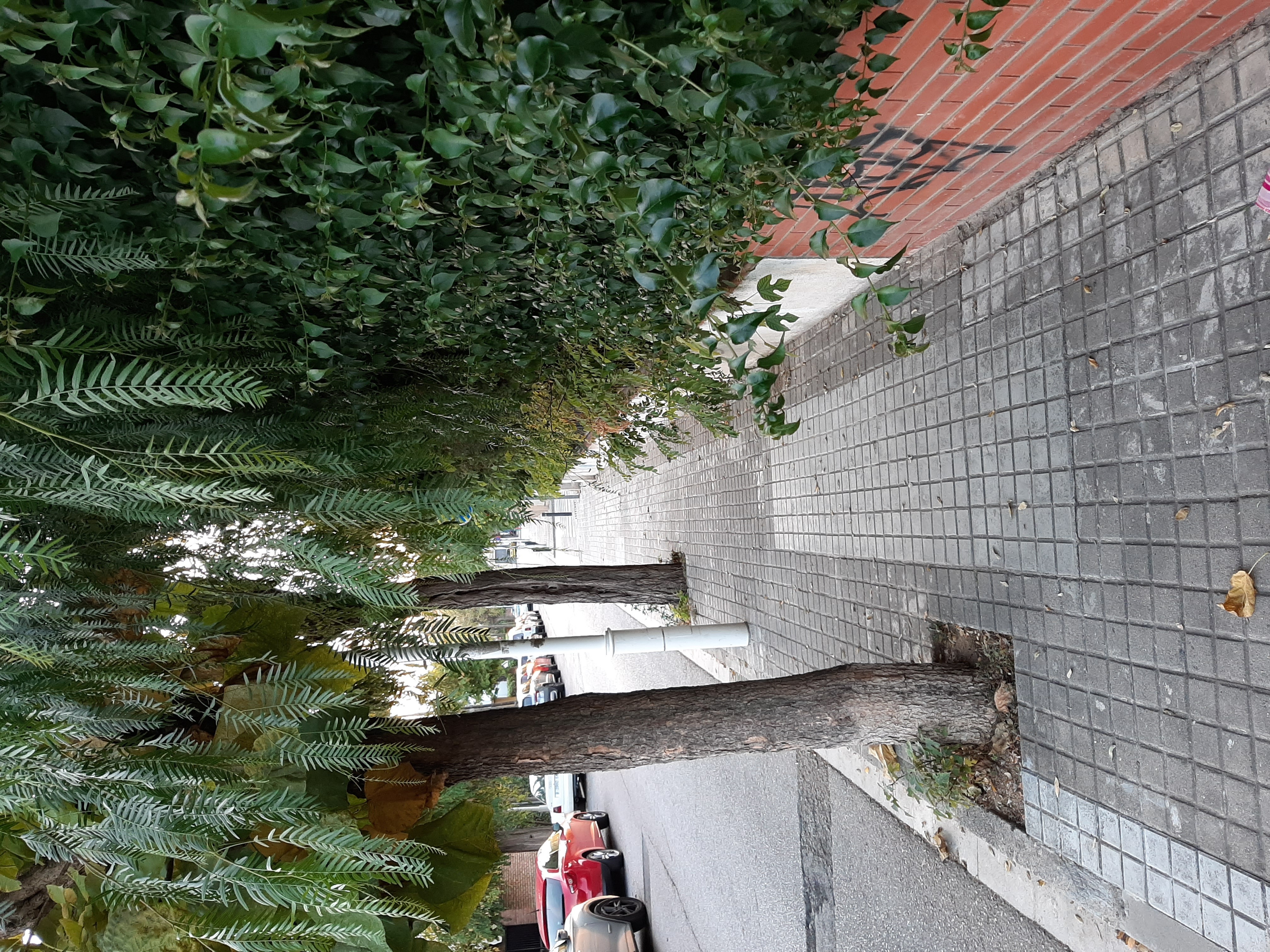 Imatge pels mitjans: Accesibilidad y mejora de las  aceras