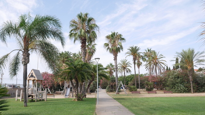 13. Millora de l'enllumenat públic del parc del Palmar.JPG