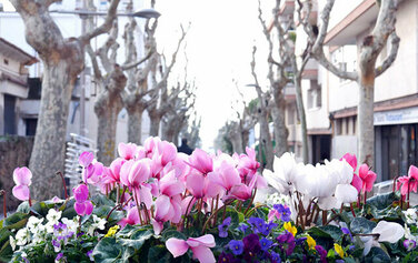 Adherir-se a Viles Florides i adequar Premià de Mar per complir els criteris exigits