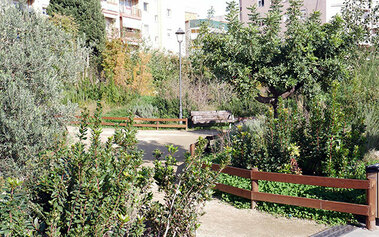 Millorar les zones verdes i plantar-hi arbres autòctons i plantes aromàtiques